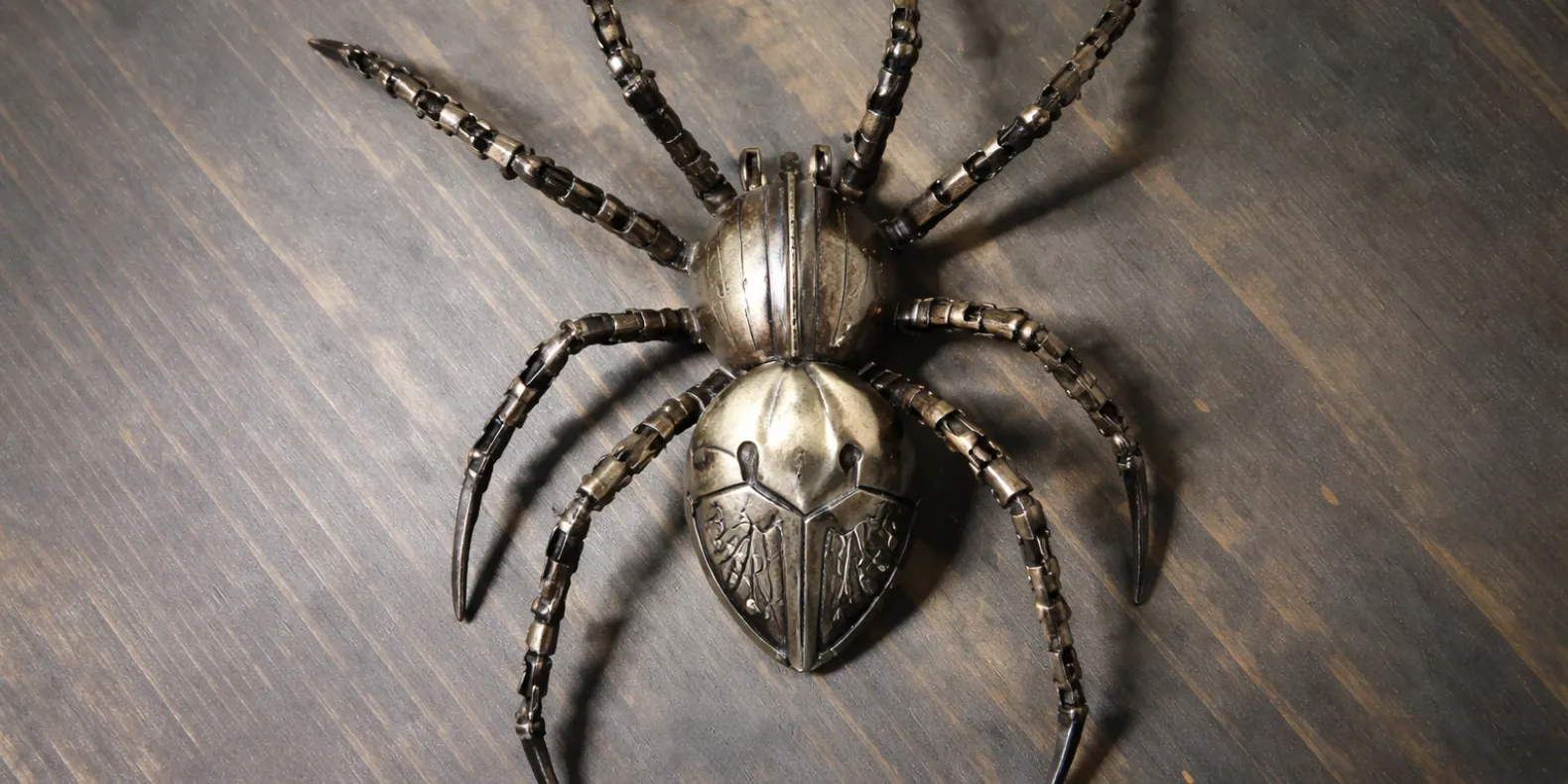 spider