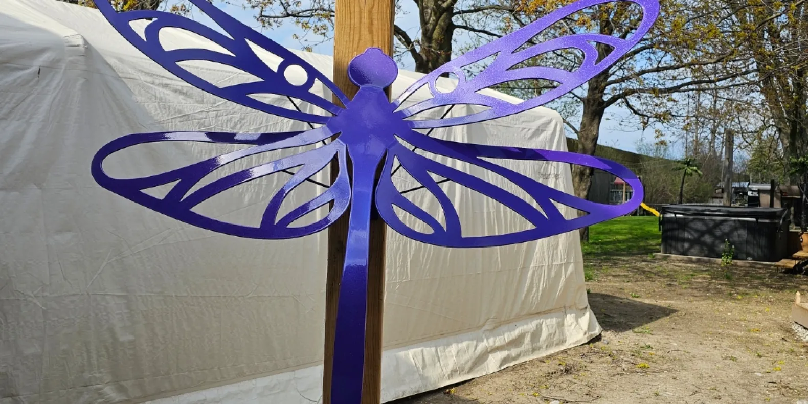 dragon fly
