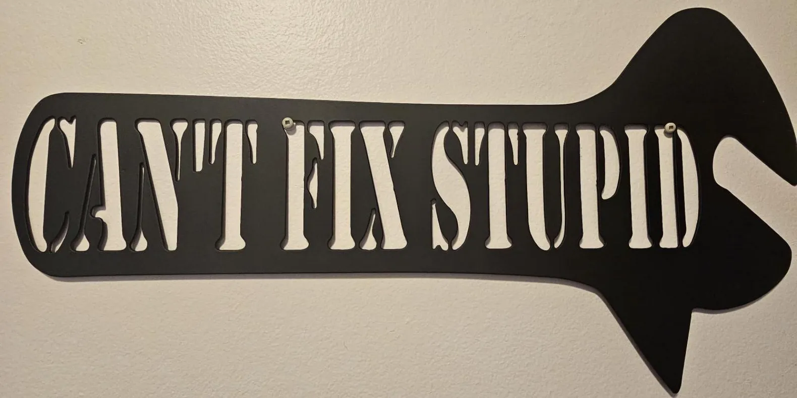 cantfixstupid