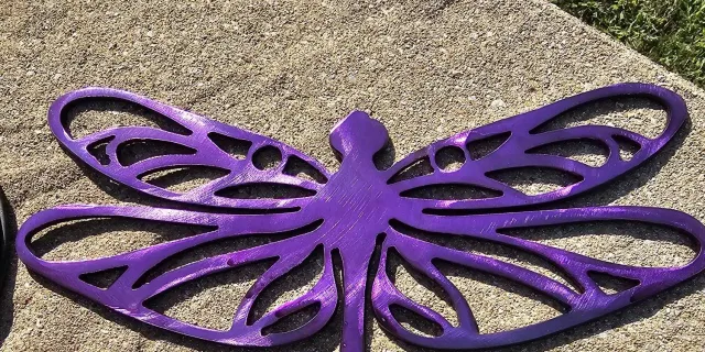 dragon fly