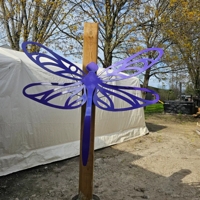 dragon fly